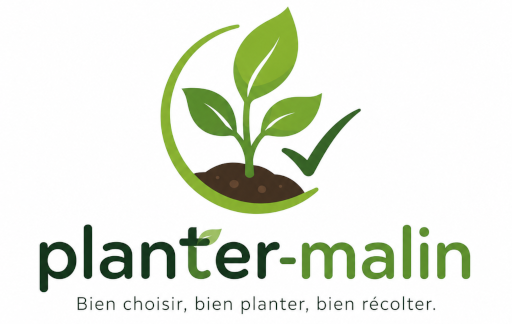 Planter Malin