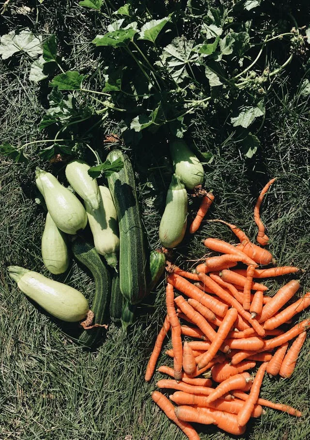Les meilleures associations de plantes au potager