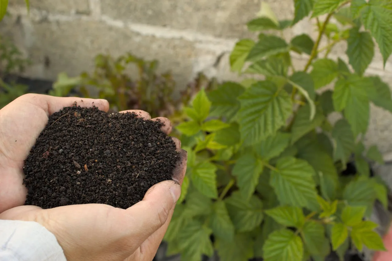 Guide des engrais naturels au potager