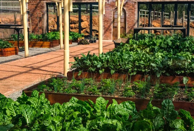Créer un potager autosuffisant : par où commencer ?